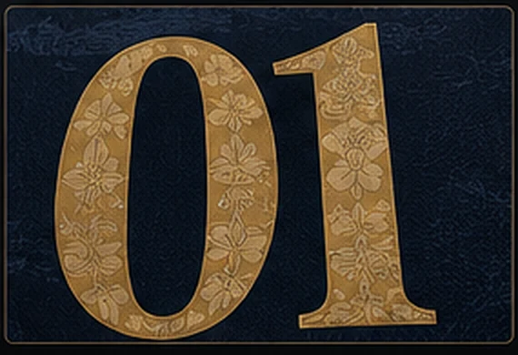 Back number 01 close-up